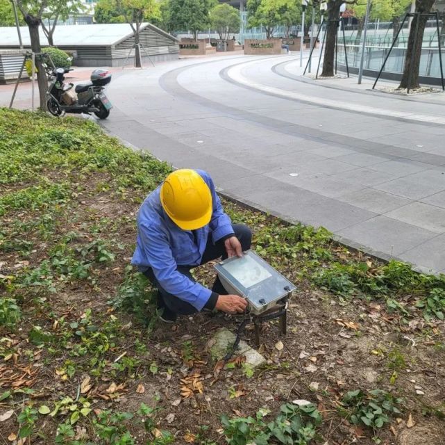 全区公园共接待游客17.7万人次！绿化保障中有他们的身影