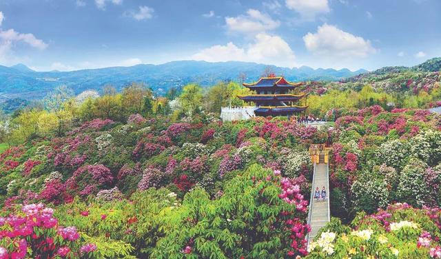 贵州完成2021年林业各项主要发展指标
