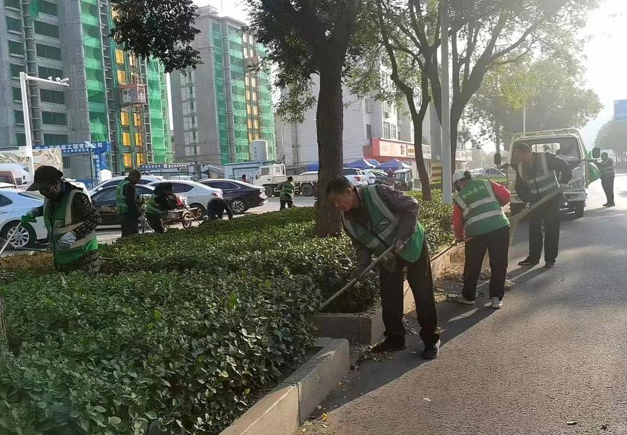 衡水市园林中心：下足“绣花功夫” 让绿化带“靓”起来