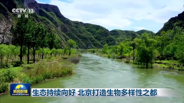 北京森林覆盖率达44.8%，城市绿化覆盖率达49.3%
