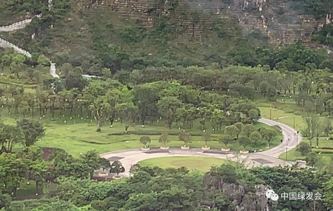 自然的样子是最美的，周晋峰博士谈城市绿化