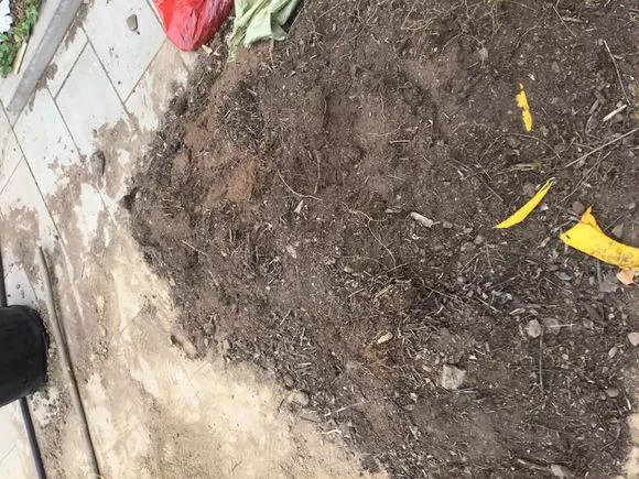 老花匠：3种土别乱用，不然花草难养，总烂根黄叶
