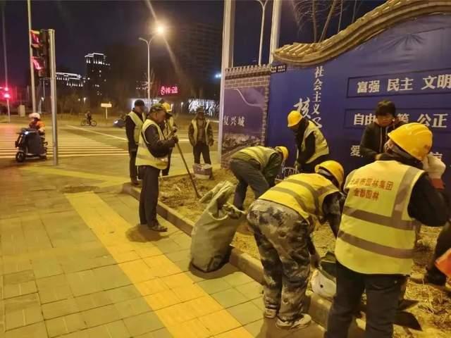 争分夺秒，全力冲刺，确保绿地景观优美良好