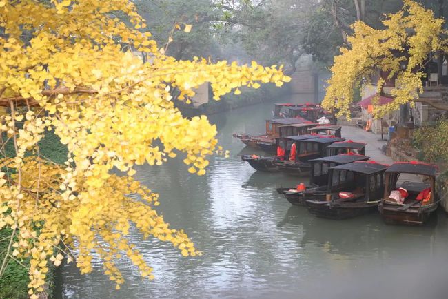 一座苏州城，半部园林诗