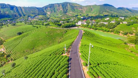 浙江绿化美化精品道路及特色精品道路上新！