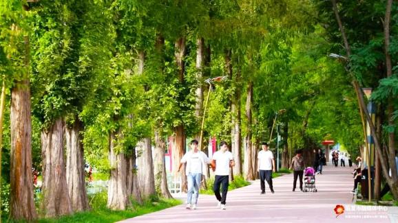 临夏市：提升园林绿化品质 打造生态宜居幸福之城