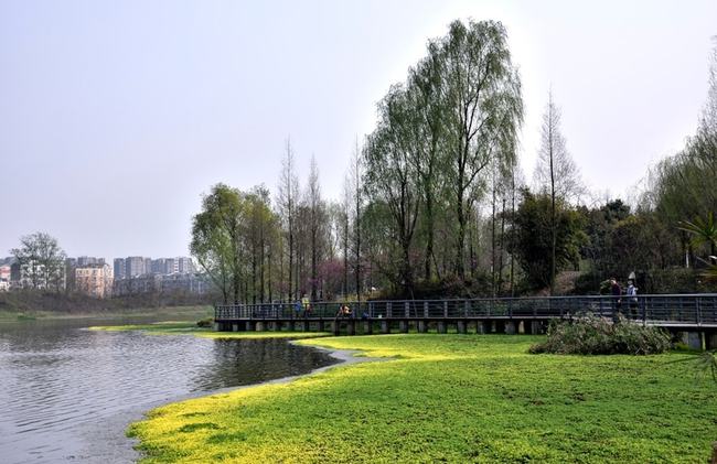塑造城市地域特色的园林绿地系统规划 塑造城市地域特色的园林绿地系统规划