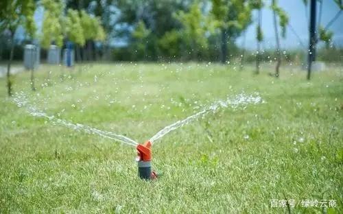  各个月份节点苗木养护指南，收藏！