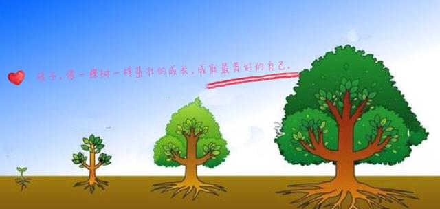 常见的酸性植物、碱性植物、耐盐植物有哪些？（值得收藏）