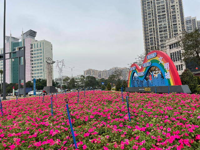 市城管局装扮城市迎新春