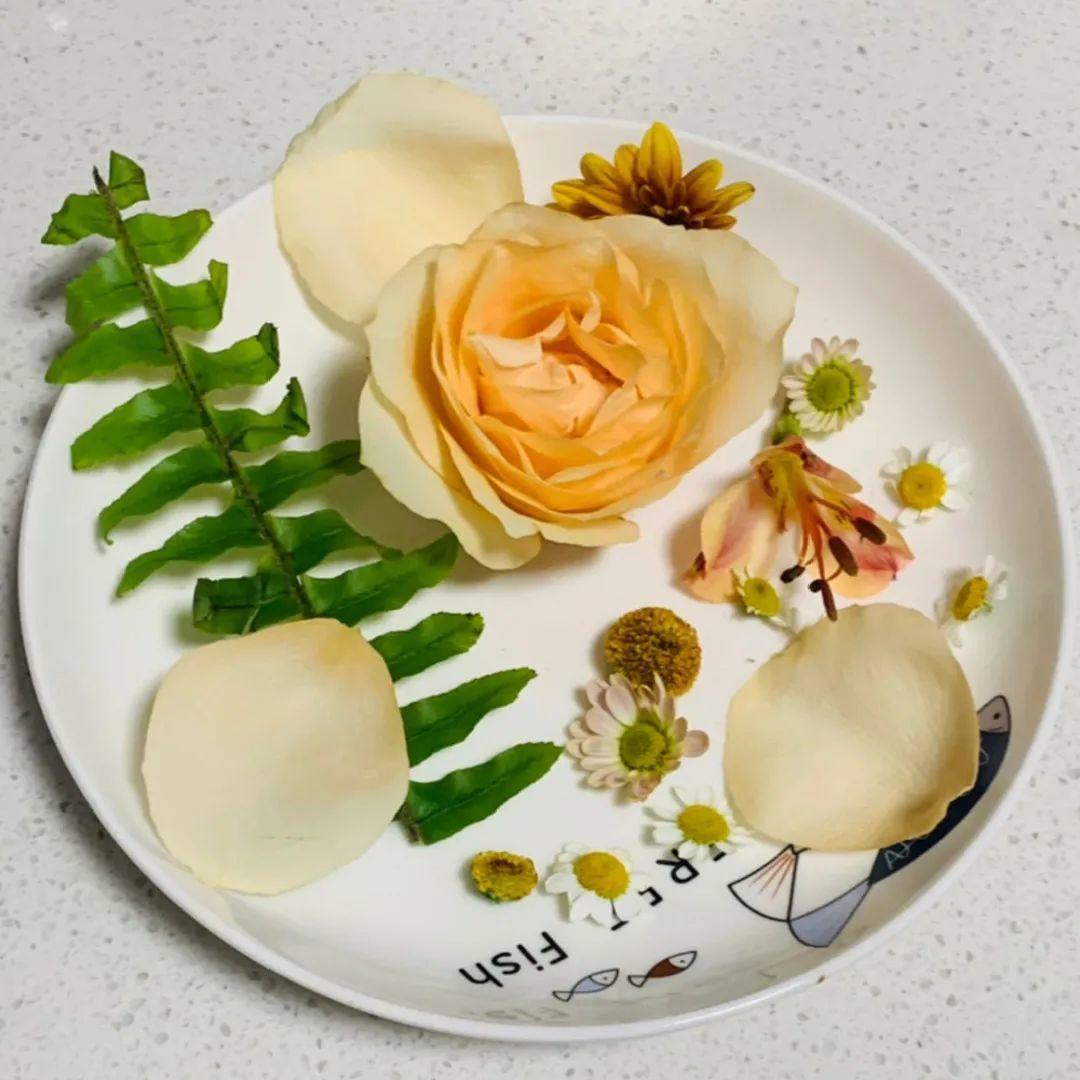 水里摆上花朵，室外冻一冻，简直美翻了