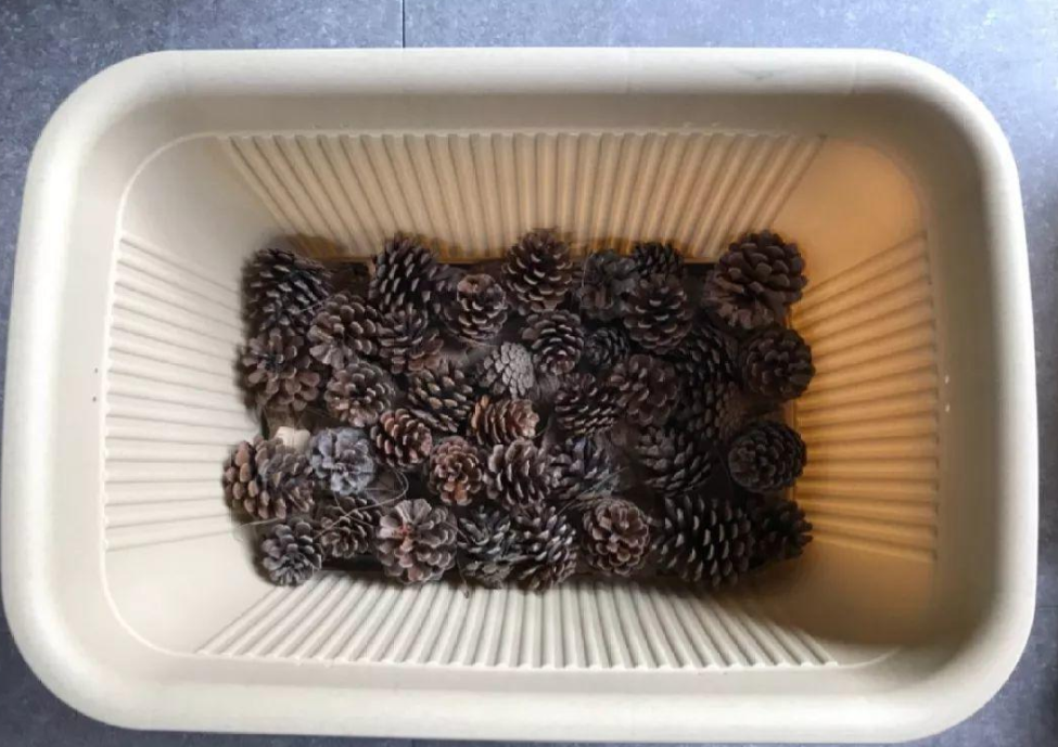 换盆用它垫盆底，养花效果非常好，花卉越长越旺盛