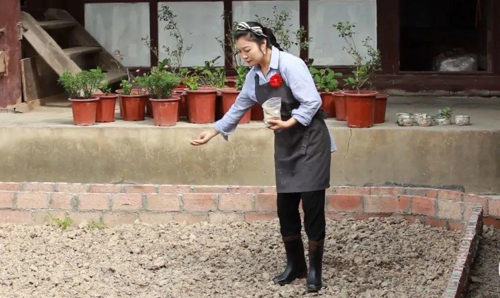 3年的时间，老院子变成大花园，过上塔莎奶奶一样的日子