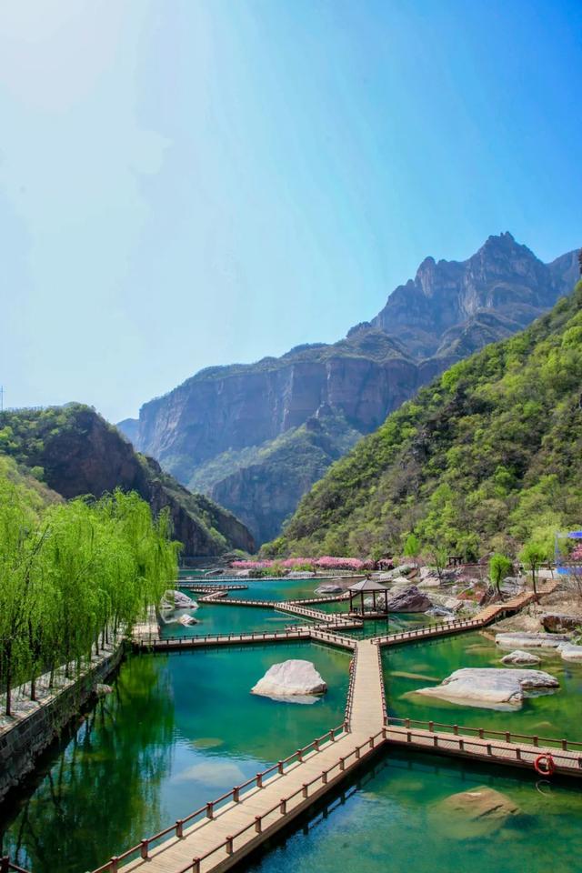 河南旅游：美景不打烊，快来宝泉郁金香花海解锁最美春日心动~