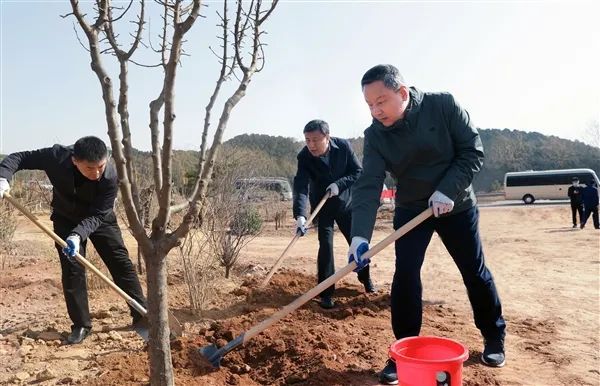 吴俊清参加市区义务植树活动