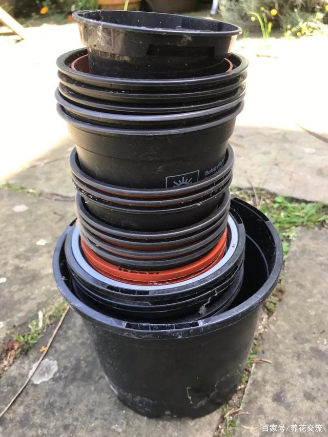 封闭阳台选合适的容器再种花，养花少花冤枉钱