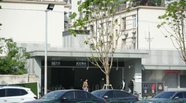 一起来探班！武宁南路沿线绿化恢复工程亮点→