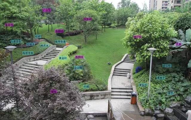 多重绿化景观:树不在多,巧植就行 多重绿化景观:树不在多,巧植就行