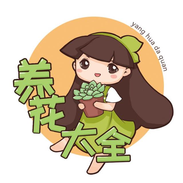 过完年，垃圾桶周围多了不少花，又要开始捡破烂儿了