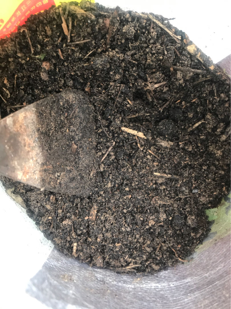 春天自己在家制肥料，肥效充足不烧根，还能省下不少钱