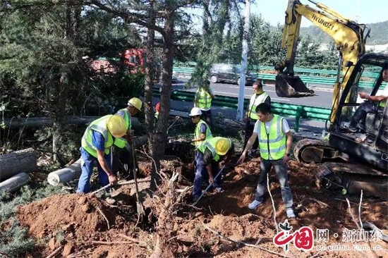 青岛市交通运输局公路材料供应处加快推进重点工程绿化迁移项目