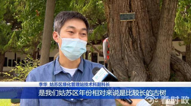 应对持续高温绿化部门加强浇水抗旱和日常养护