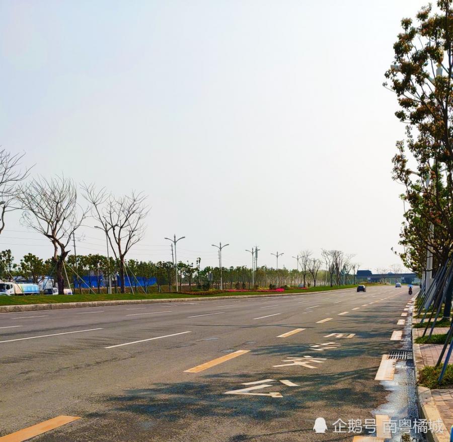 广东东莞市城市主干路绿化提升工程，项目预计总投资1500万元