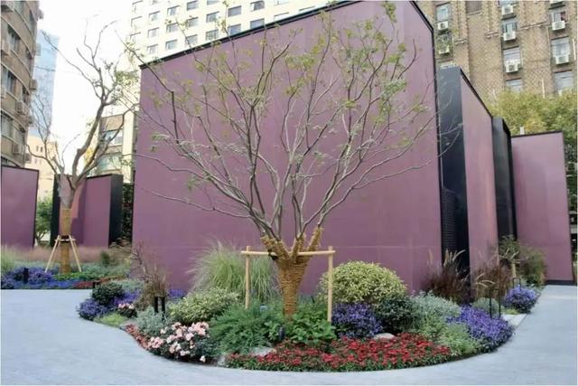 静安区绿化管理中心建设管理科荣获2021年度上海市重点工程实事立功竞赛