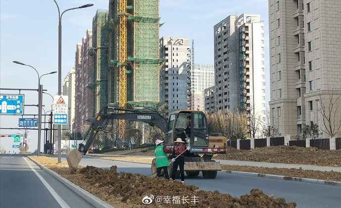 合肥长丰县泉河路等五条道路绿化工程开始建设