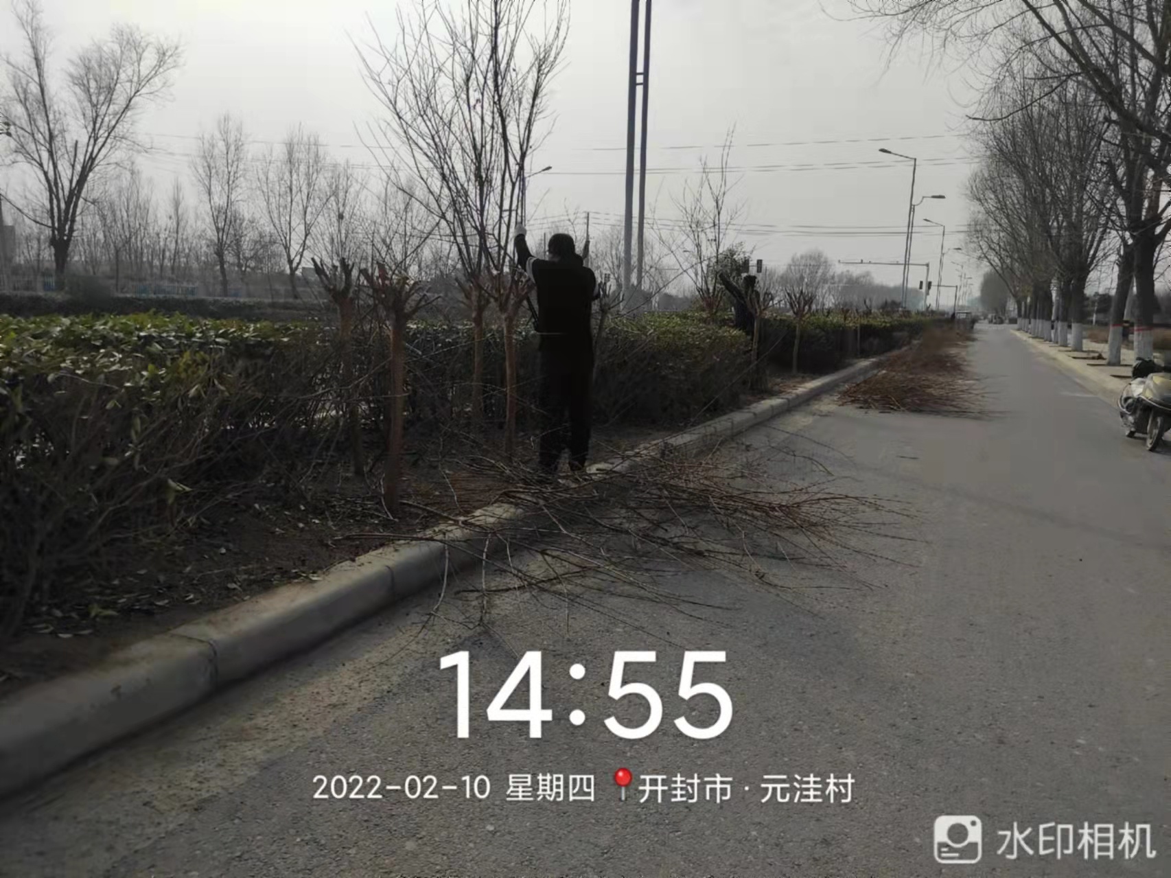 杞县：节后绿化养护 筑牢绿色屏障
