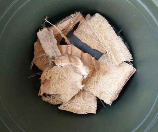 6种“小垃圾”，养花是个宝，花盆埋一把，呼呼开大花