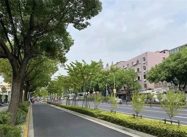 虹口区再添一条绿化特色道路