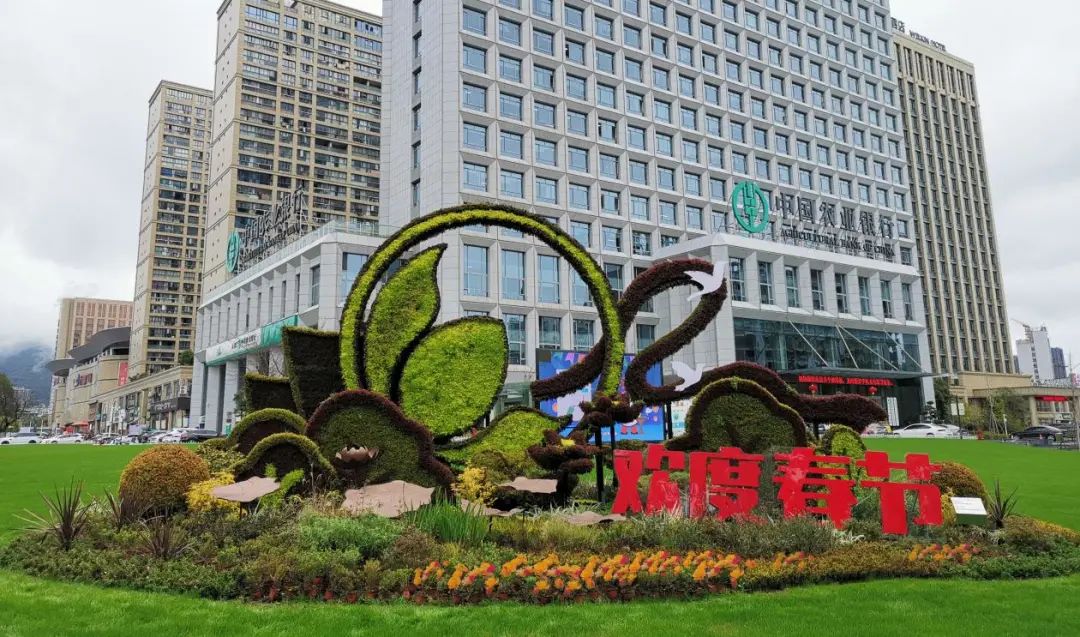市区春节绿化景观已美美上线！正等待大家观赏