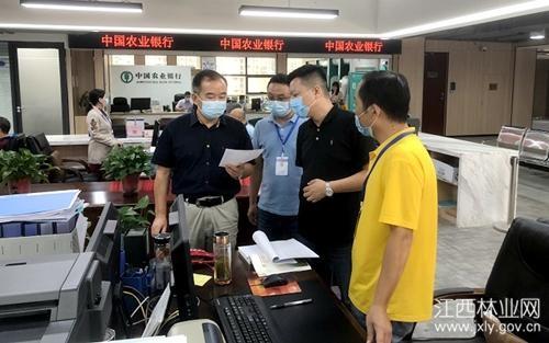 九江市林业局开展“服务怎样我体验，发现问题我整改”大体验活动