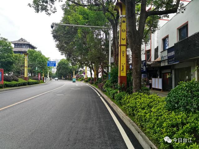 「和美城乡 四大行动」台江县：补植补栽添“新装” 绿化美化再提升