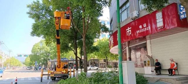 便民服务再提升，浦江城投集团“跑”出绿化新速度