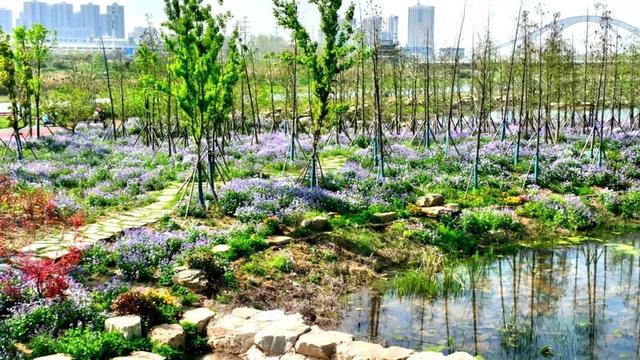 黄冈市三台河绿化景观工程交付使用