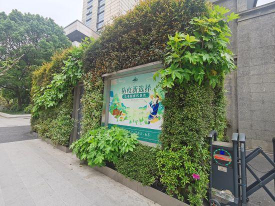 上海公园城市建设中的立体绿化，你知道哪些？