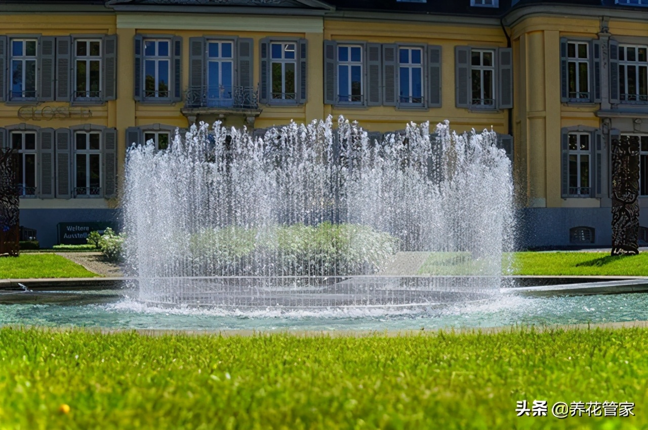 起起落落的“喷泉”，太美了！领悟人生真谛