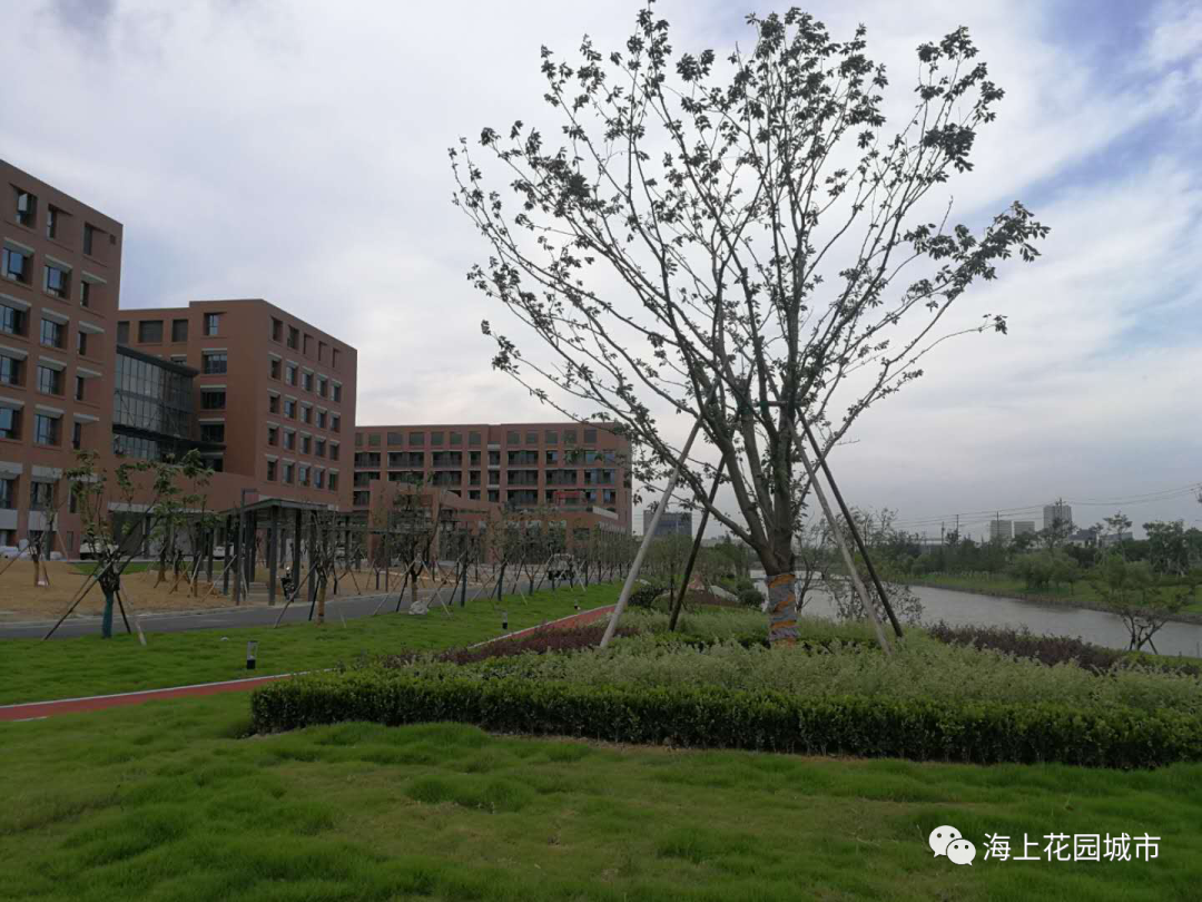 回眸，2020年度舟山园林绿化成绩单，件件都是大事