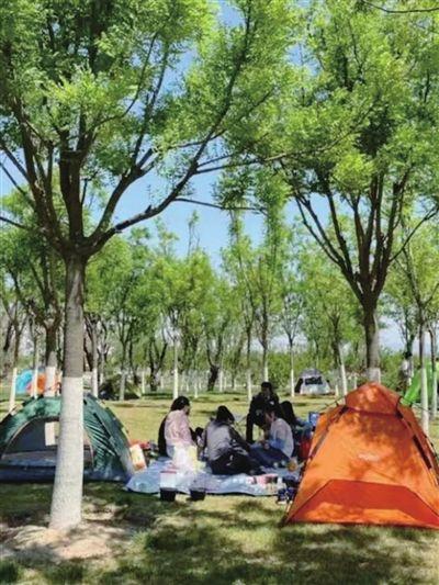 搭帐篷露营 园区里停车 太原植物园扩大开放公共空间