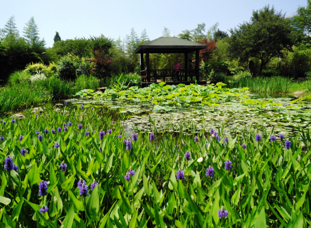 生态学理念在风景园林设计中的应用举措