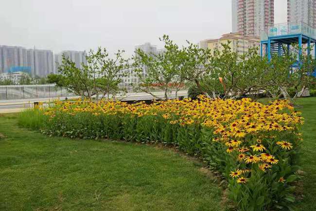 7月1日,西安幸福林带部分景观将开放,提前探看它到底什么姿色 7月1日,西安幸福林带部分景观将开放,提前探看它到底什么姿色