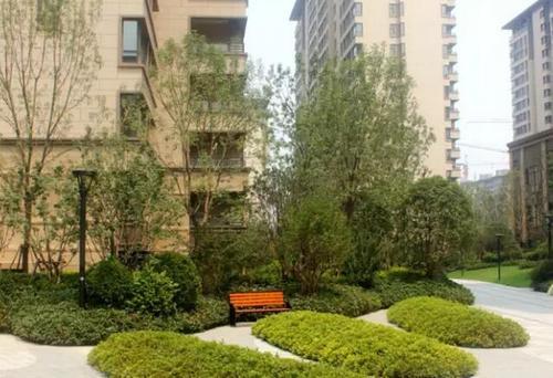 三楼会不会被绿化遮挡？