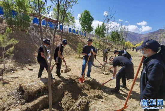 公益力量助力拉萨南北山绿化工程