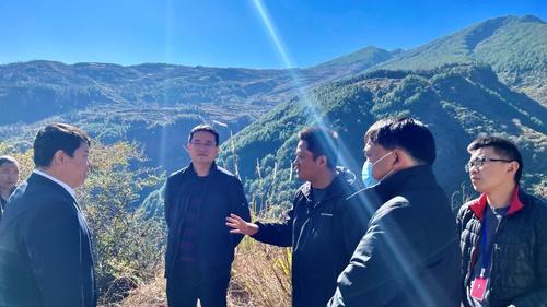 东川区“多举措”推行林长制工作