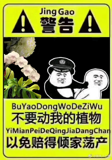 千万不要动我的花，以免赔的倾家荡产