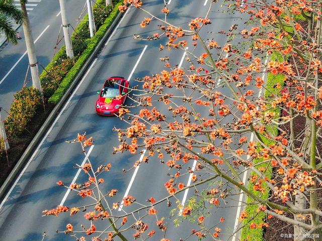广东江门S384省道改扩建工程，项目投资12179万，路线全长3150米