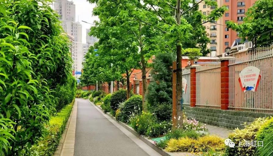  这条市级绿化特色道路特在哪里？高能美图让你心服口服！