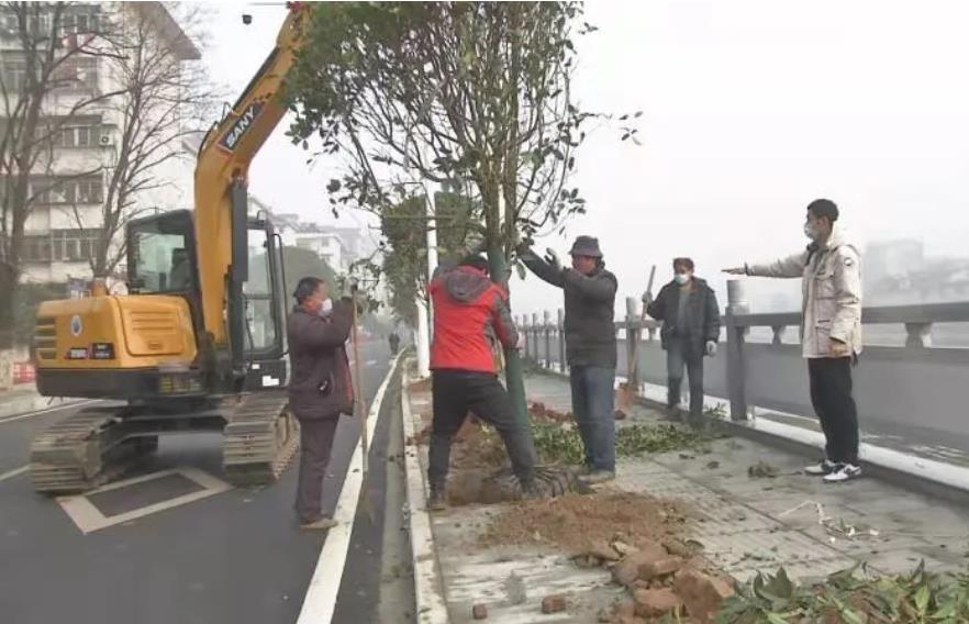 让森林进城 让景观进市！湖北大悟打造城市绿化景观